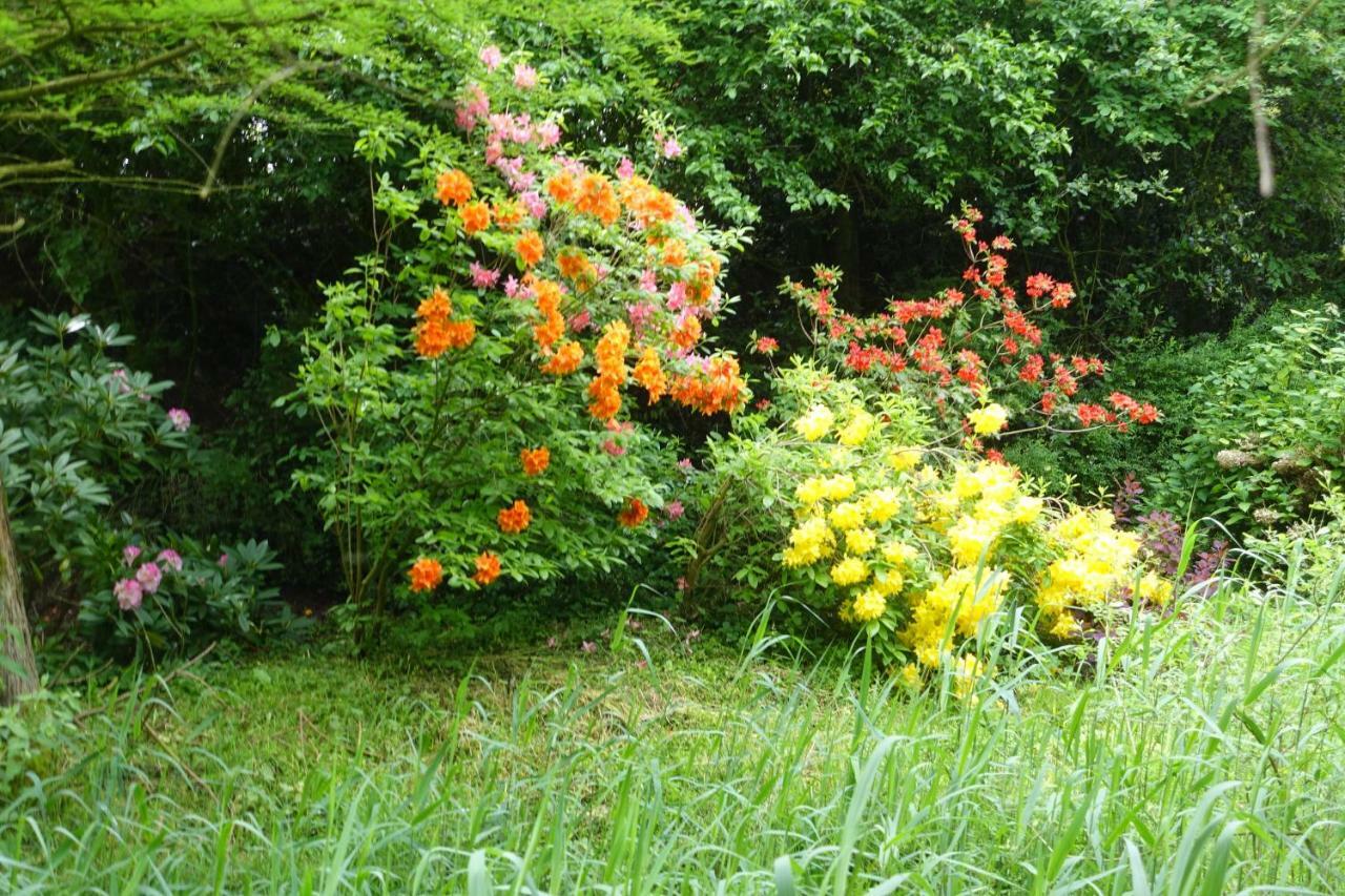 Lodge In Dinther Heeswijk-Dinther ภายนอก รูปภาพ